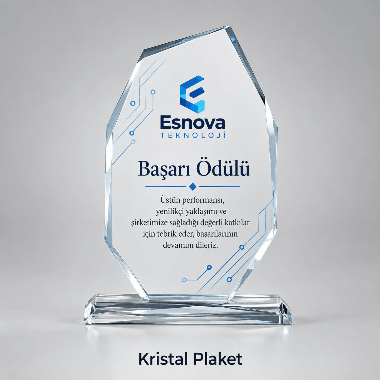 Teknoloji firması için kristal başarı ödülü plaketi örneği