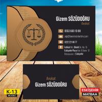 Avukat Kartviziti (K13)
