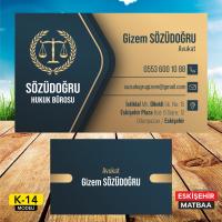 Avukat Kartviziti (K14)