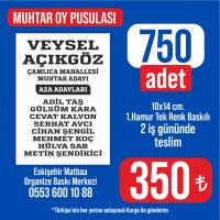 Muhtar Oy Pusulası - 750 adet