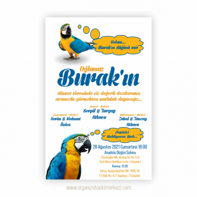 Papağan Figürlü Sünnet Davetiye